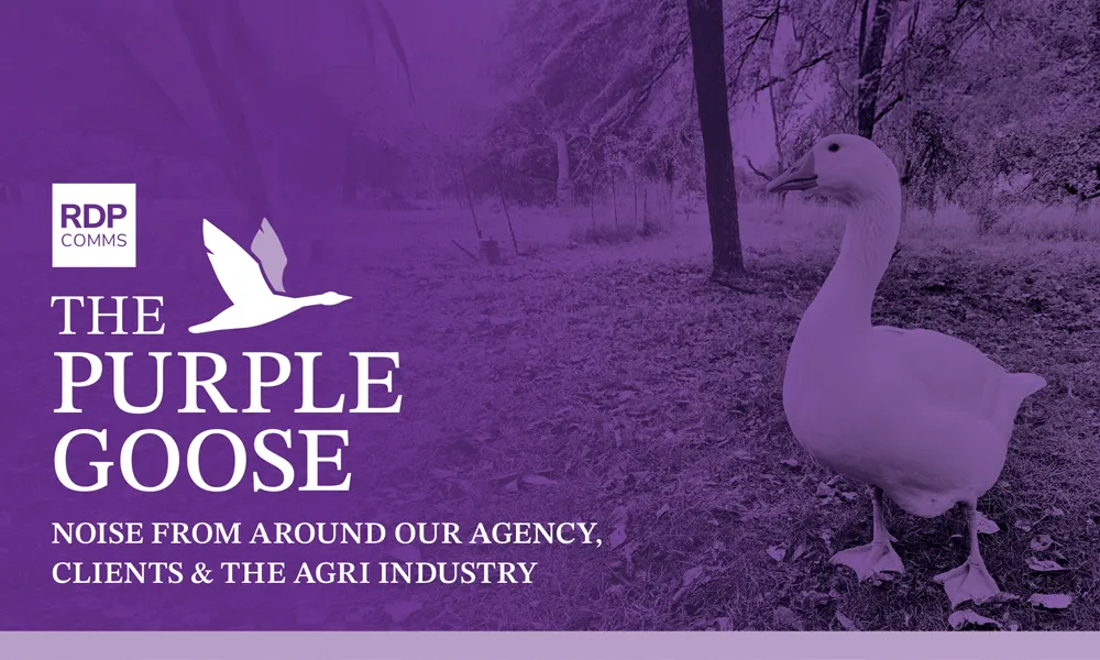 The Purple Goose